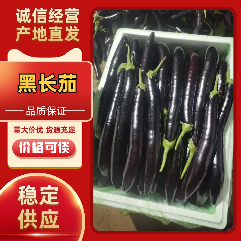 黑长茄云南长茄，产地一手货源，可视频看货，代发全国