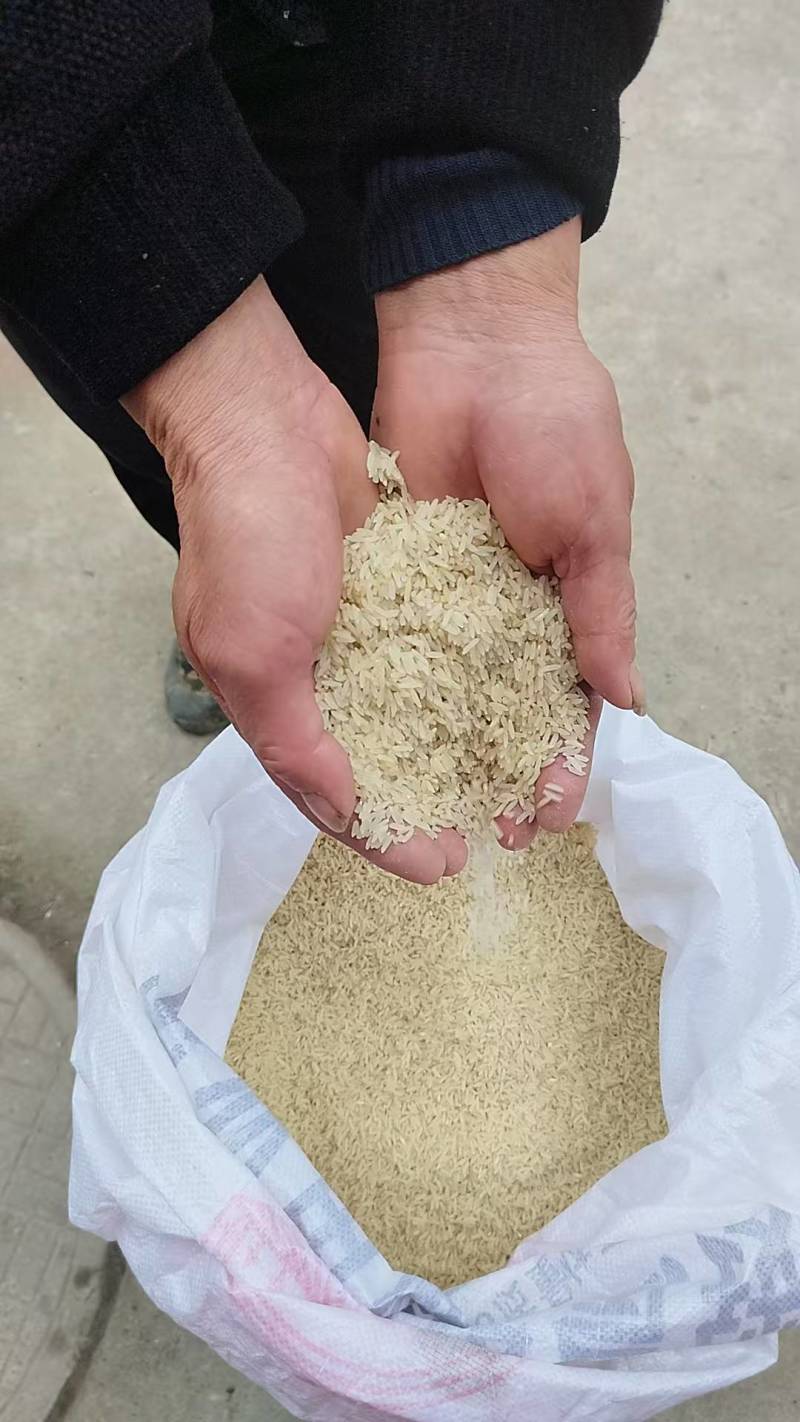 精品稻香米产地直发大量有货欢迎老板来电咨询