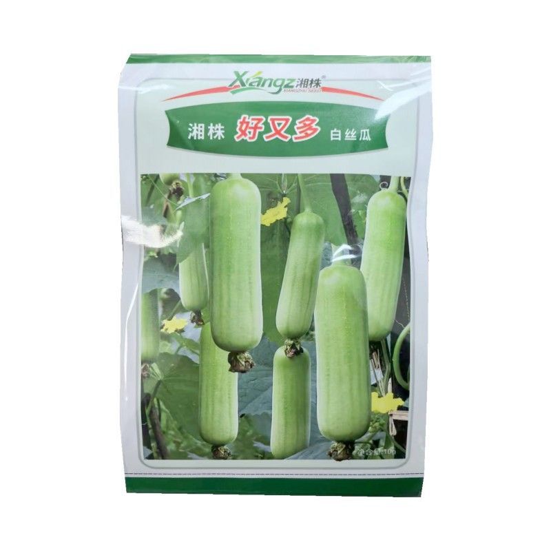 好又多白丝瓜种子圆筒形瓜皮嫩白色皮薄味甜