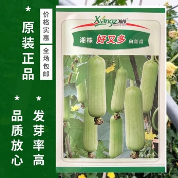好又多白丝瓜种子圆筒形瓜皮嫩白色皮薄味甜