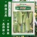 好又多白丝瓜种子圆筒形瓜皮嫩白色皮薄味甜