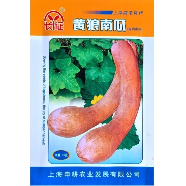 黄狼南瓜种子瓜棒锤形稍弯肉橙红色细糯粉质味甜