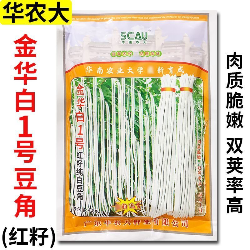 金华白1号红籽纯白豆角种子白豇豆种子结荚多无鼠尾