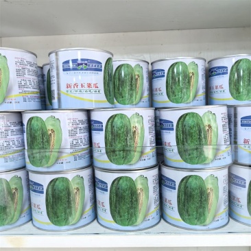 新香玉菜瓜种子绿皮绿肉早生嫩脆多汁清香可口味甜