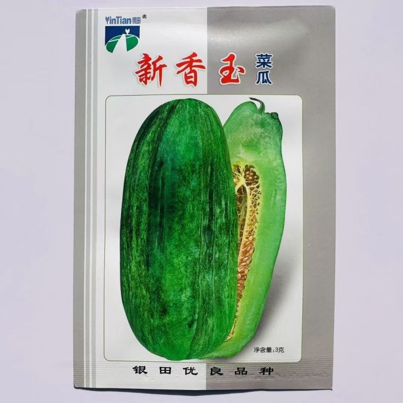 新香玉菜瓜种子绿皮绿肉早生嫩脆多汁清香可口味甜