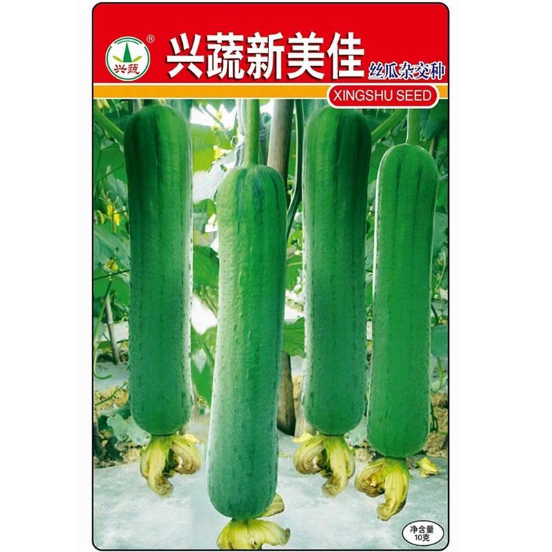兴蔬新美佳丝瓜种子早熟耐贮运果实圆筒形