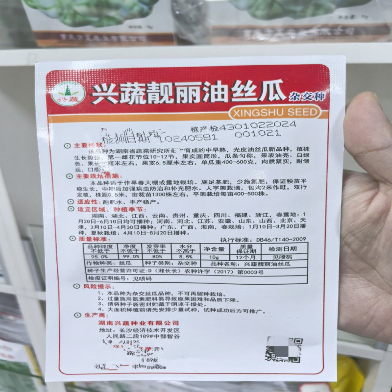 兴蔬靓丽油丝瓜种子果表油亮瓜条匀称白绿色肉质紧实