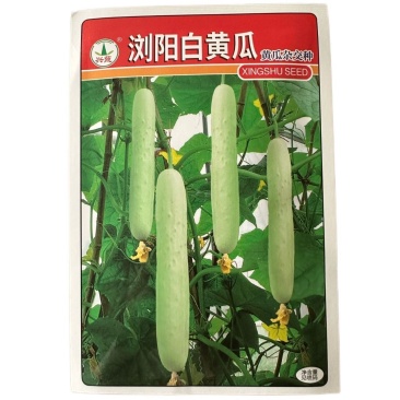 浏阳白黄瓜种子早熟抗病心腔较细果肉厚无瓜把