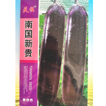 南国新贵长茄种子杂交中早熟果色紫黑油亮抗病采收期长