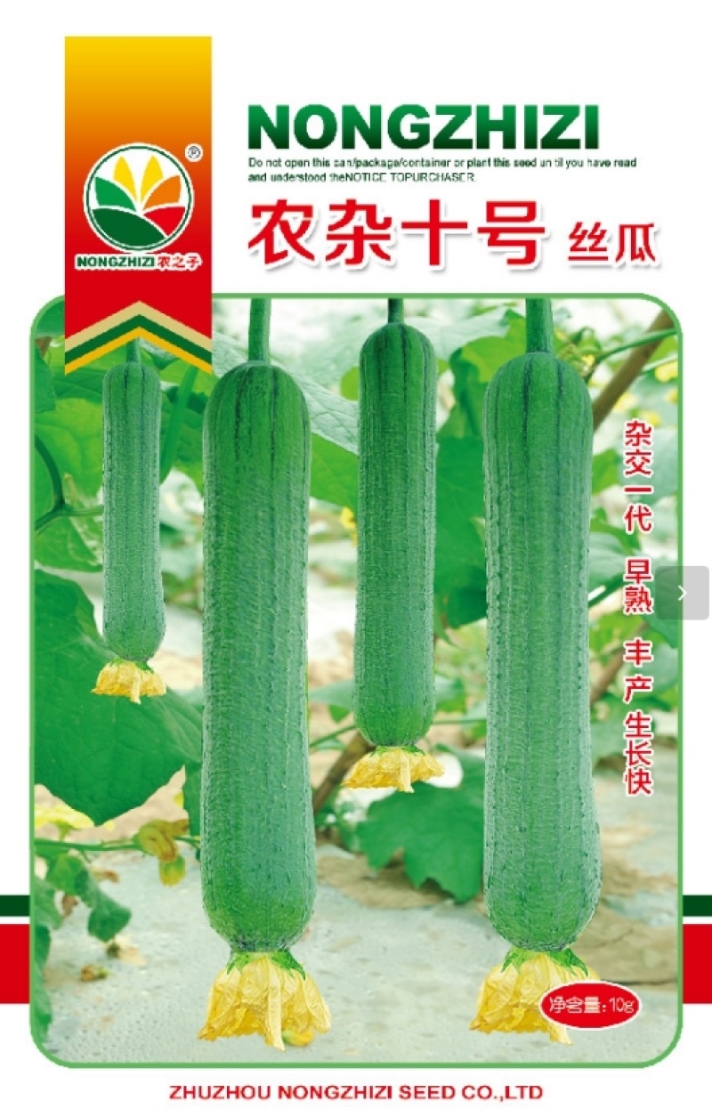 杂交青丝瓜农杂十号丝瓜肉丝瓜超高产早熟商品性好
