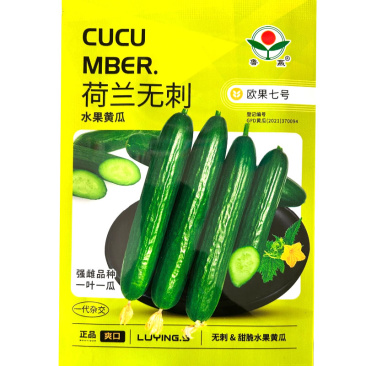 荷兰无刺水果黄瓜种子强雌品种一叶一瓜果肉甜脆