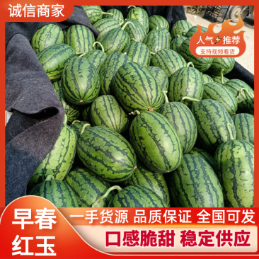 【推荐】安徽精品早春红玉，小糖丸大量上市欢迎选购