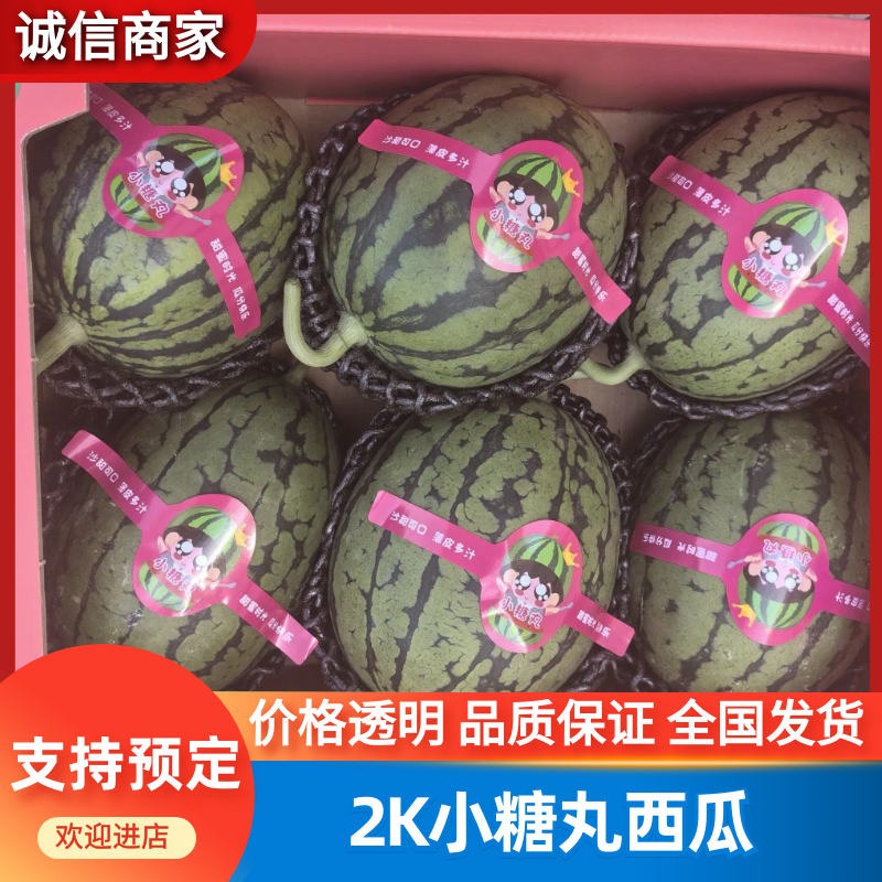 [小糖丸西瓜批发]安徽宿州砀山县西瓜 0.90元/斤2K小糖丸西 _ 一亩田