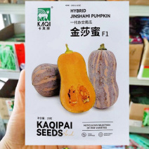金莎蜜南瓜种子肉厚腔小粉质细腻味甜可口