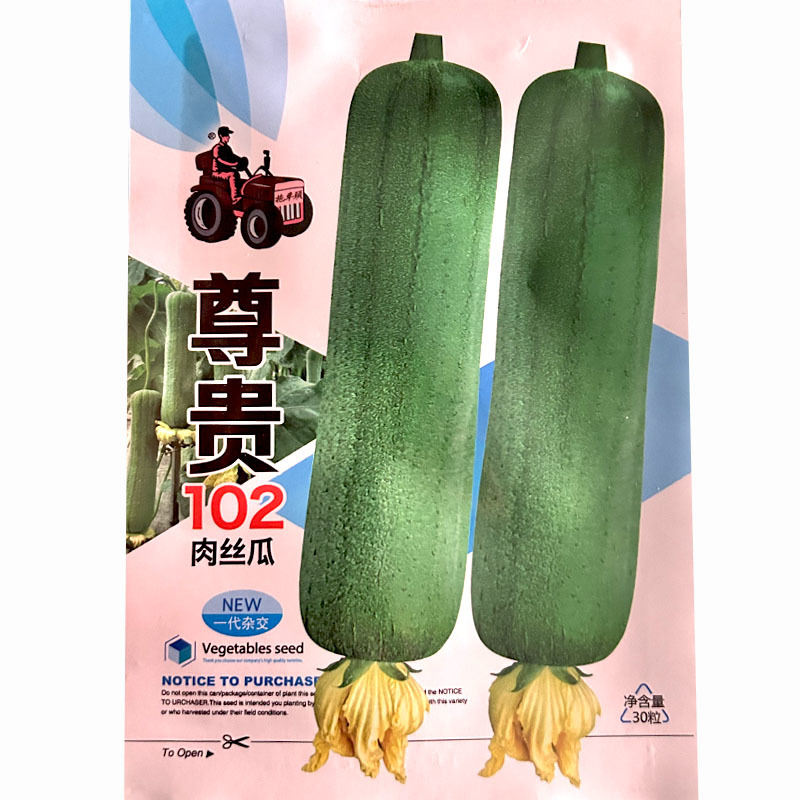肉丝瓜种子尊贵102春夏秋季特长丝瓜种子蔬菜菜种子