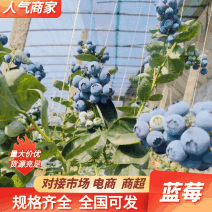 山东花香L25，香脆可口，规格齐全，质量保证产地一手货源