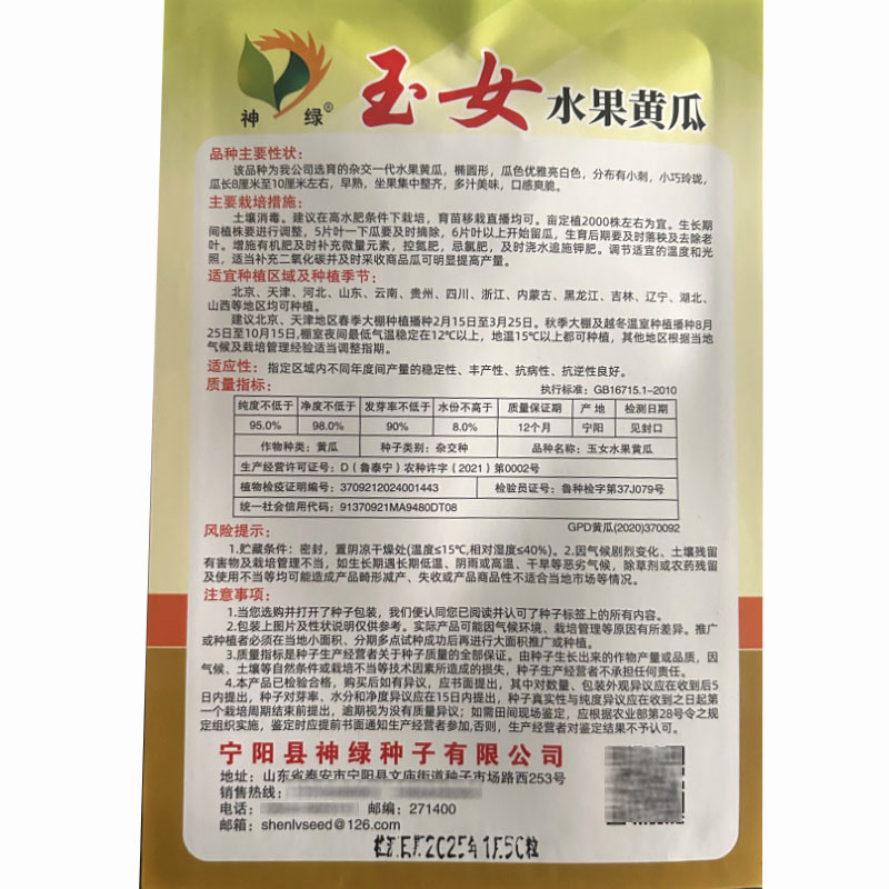 玉女水果黄瓜种子白黄瓜杂交全雌节节有瓜大田基地