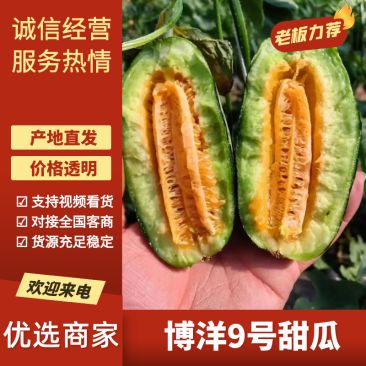 【推荐】河北甜瓜博洋基地一手货源商超电商全国接单