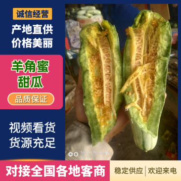 河北羊角蜜博洋61甜瓜大量供应全国接单微商电商代理