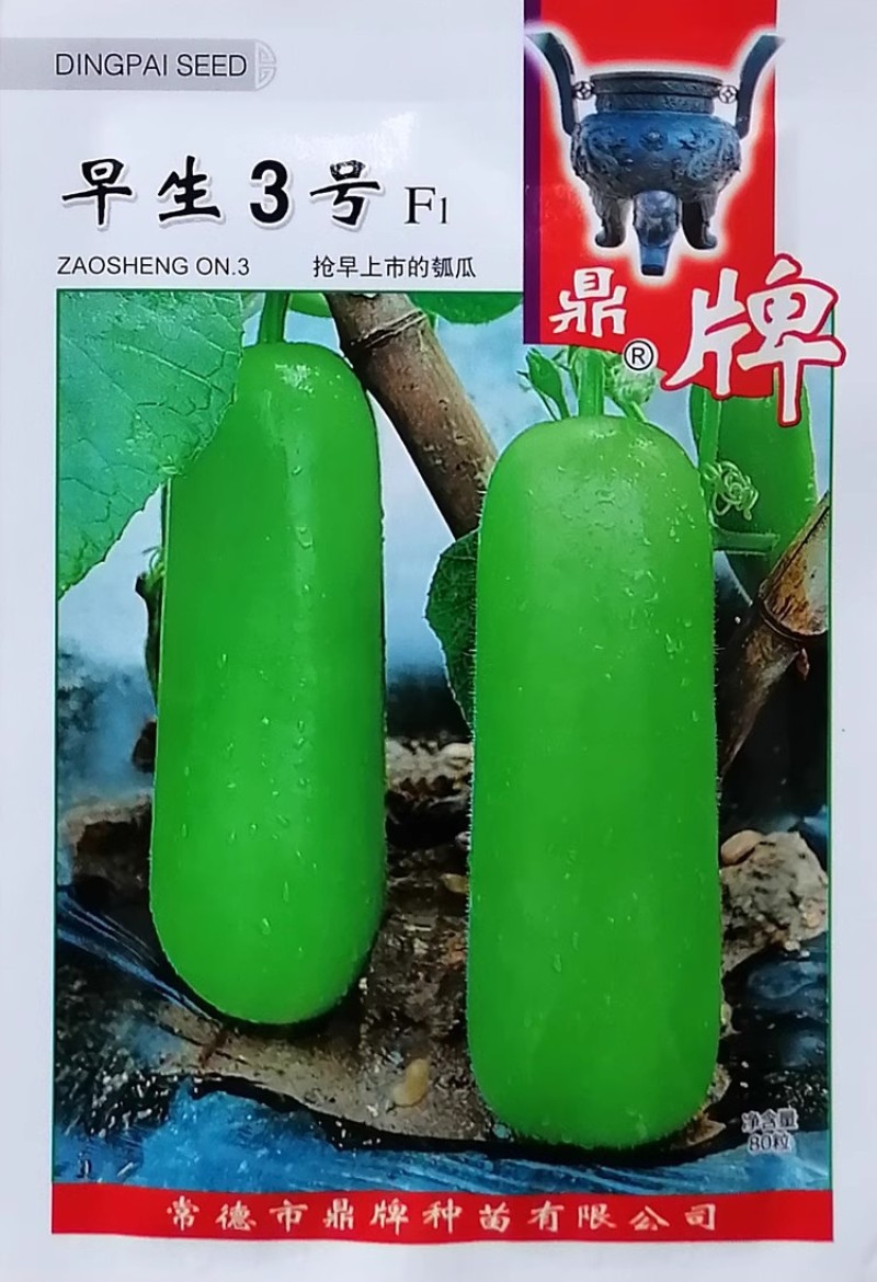 早生3号瓠瓜种子果实棒形果皮绿白色果肉乳白肉质细嫩
