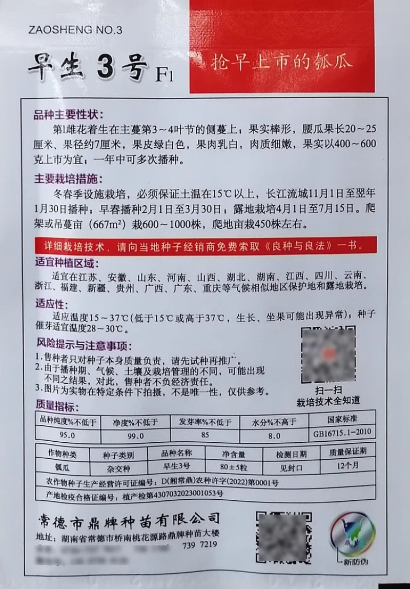 早生3号瓠瓜种子果实棒形果皮绿白色果肉乳白肉质细嫩
