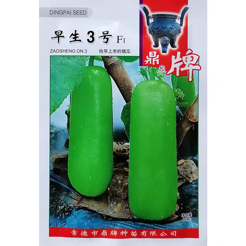 早生3号瓠瓜种子果实棒形果皮绿白色果肉乳白肉质细嫩