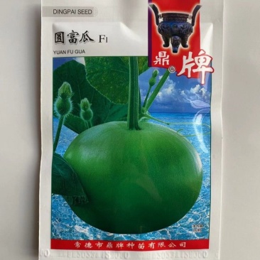 圆富瓜瓠瓜种子早熟坐果多细嫩多汁口感清爽