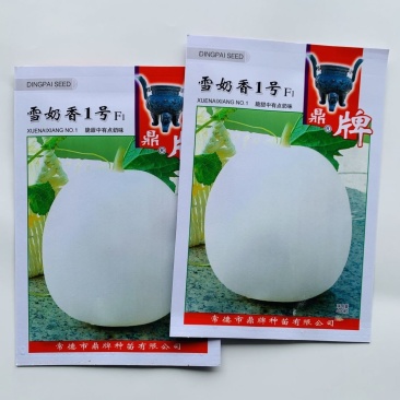 雪奶香1号甜瓜种子早熟薄皮香味浓脆甜带有奶香味