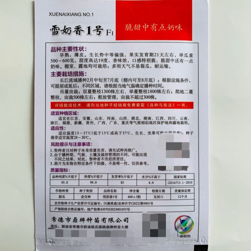 雪奶香1号甜瓜种子早熟薄皮香味浓脆甜带有奶香味