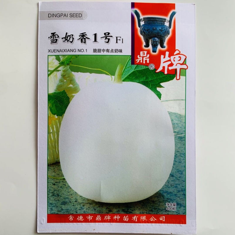 雪奶香1号甜瓜种子早熟薄皮香味浓脆甜带有奶香味