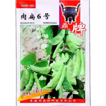 肉扁6号扁豆种子中熟鲜荚乳白色肉质肥厚品质好