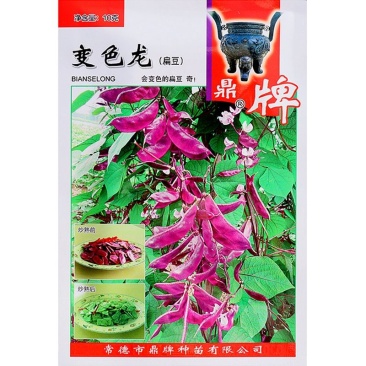 变色龙扁豆种子早熟脆爽好吃棚室露地均可栽培
