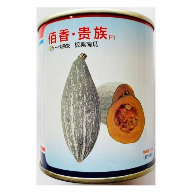佰香贵族南瓜种子干面香甜可口汁少耐储运