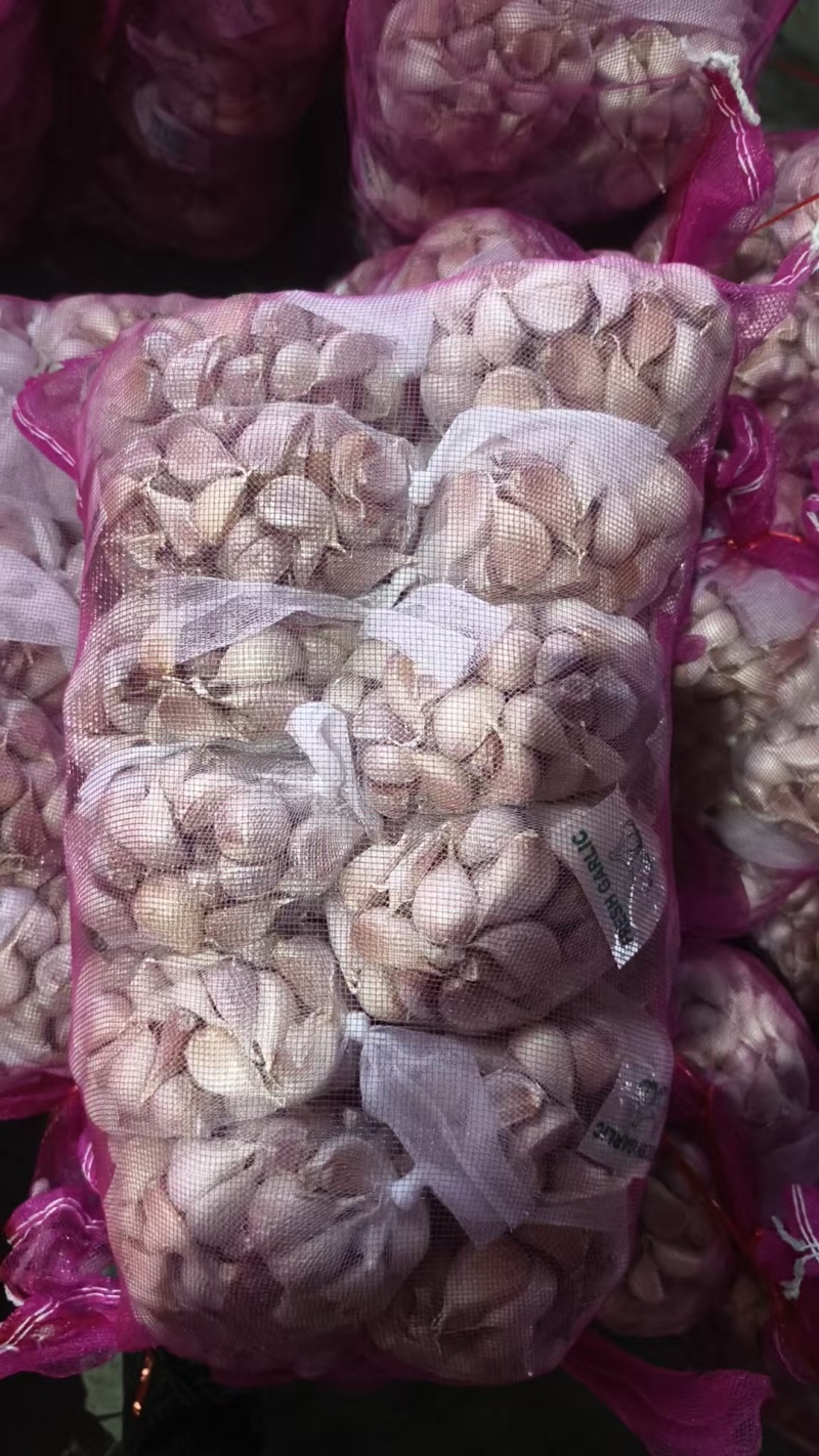 大蒜苍山连体蒜瓣山东蒜瓣供应电商市场商超品质保证