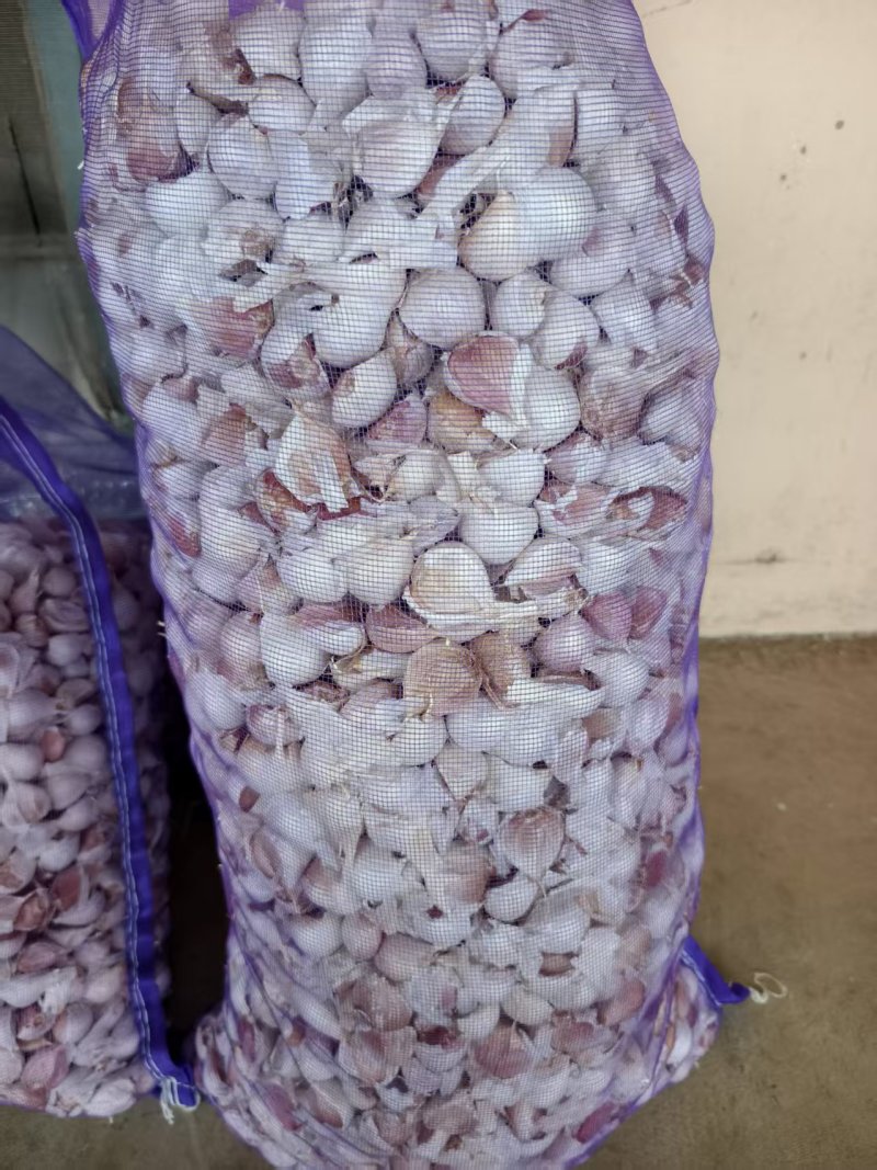 大蒜苍山四六瓣苍山大蒜常年供应质量好价格低全国发货