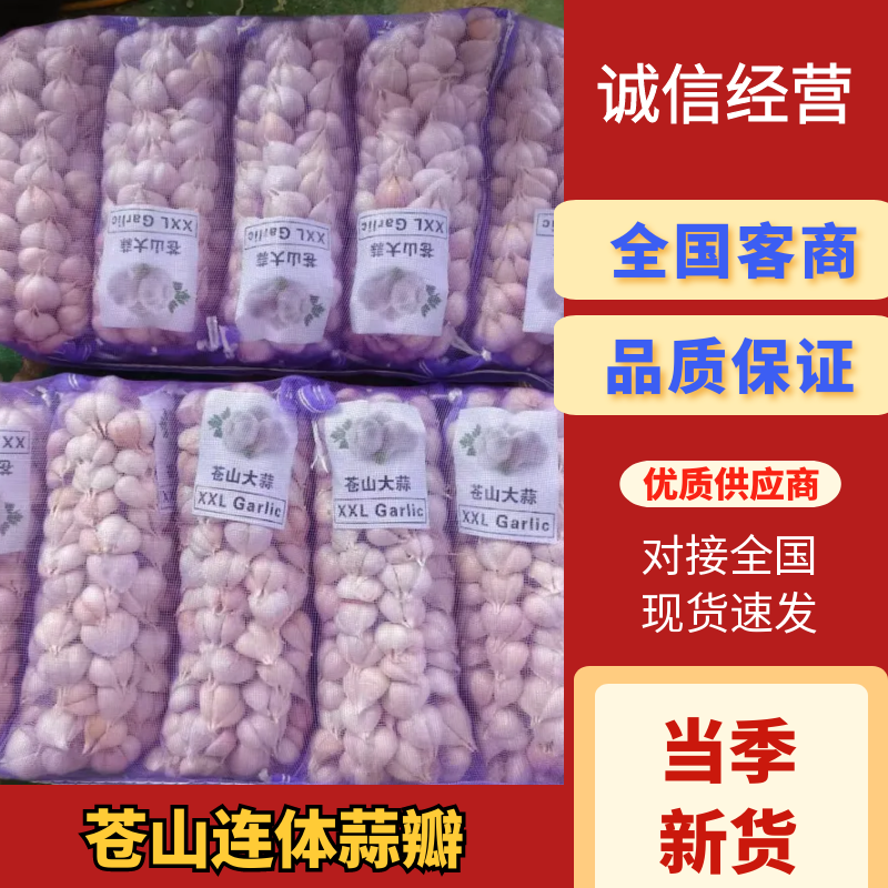 大蒜苍山连体蒜瓣山东蒜瓣供应电商市场商超品质保证
