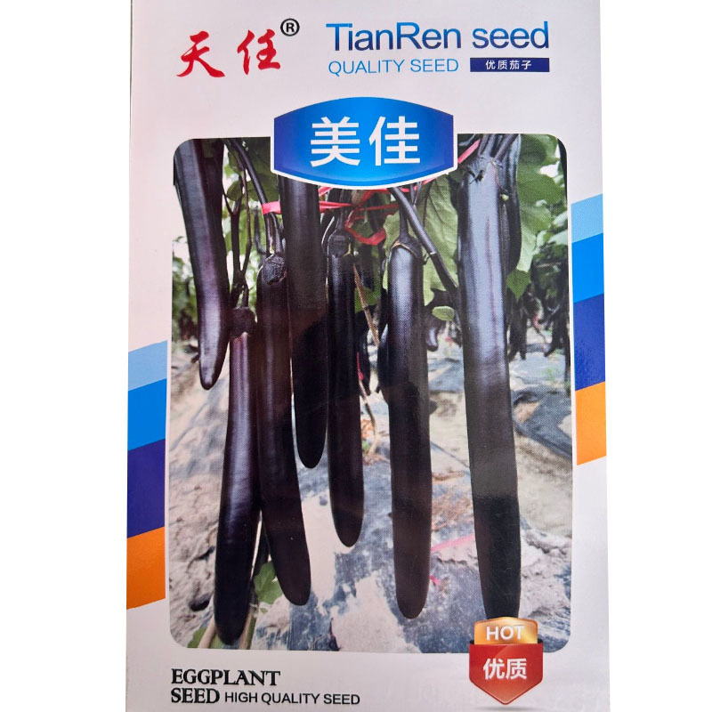 美佳紫黑长茄种子早熟品种果实紫黑亮连续座果率高