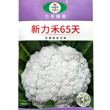 新力禾65天花椰菜种子花球半松蕾枝浅绿蕾粒较细