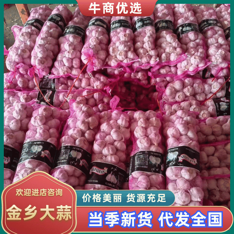 金乡大蒜紫皮大蒜山东大蒜代收代发代加工货源足