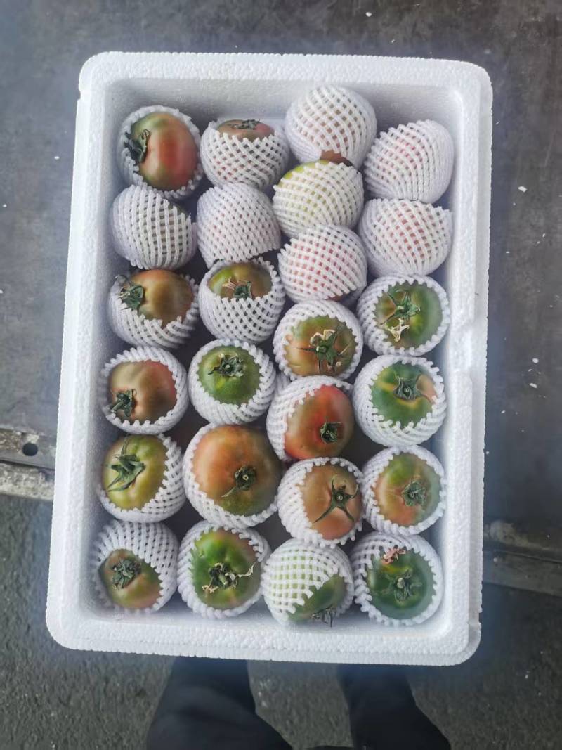 盘锦精品草莓番茄，铁皮柿子，碱地柿子现货速发欢迎选购