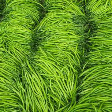 精品线椒山东临沂沂水县颜色艳丽，香辣味浓郁