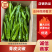 广东青皮尖椒，一手货源，产地直发，大量货源充足，代发全国