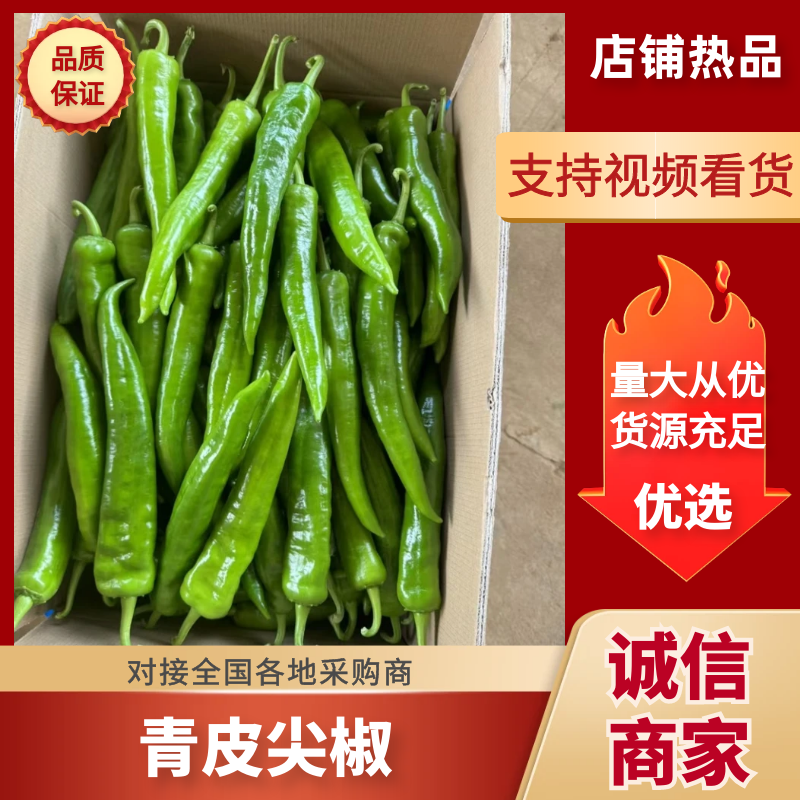广东青皮尖椒，一手货源，产地直发，大量货源充足，代发全国