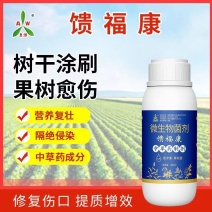 李子杏树桃树花椒流胶病中药原液涂抹效果好溃腐灵刷干套餐