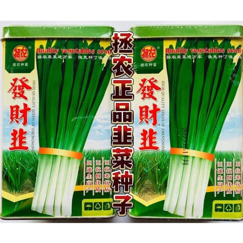 发财韭菜种子抗病抗寒抗倒伏不休眠不易干尖辛辣味浓