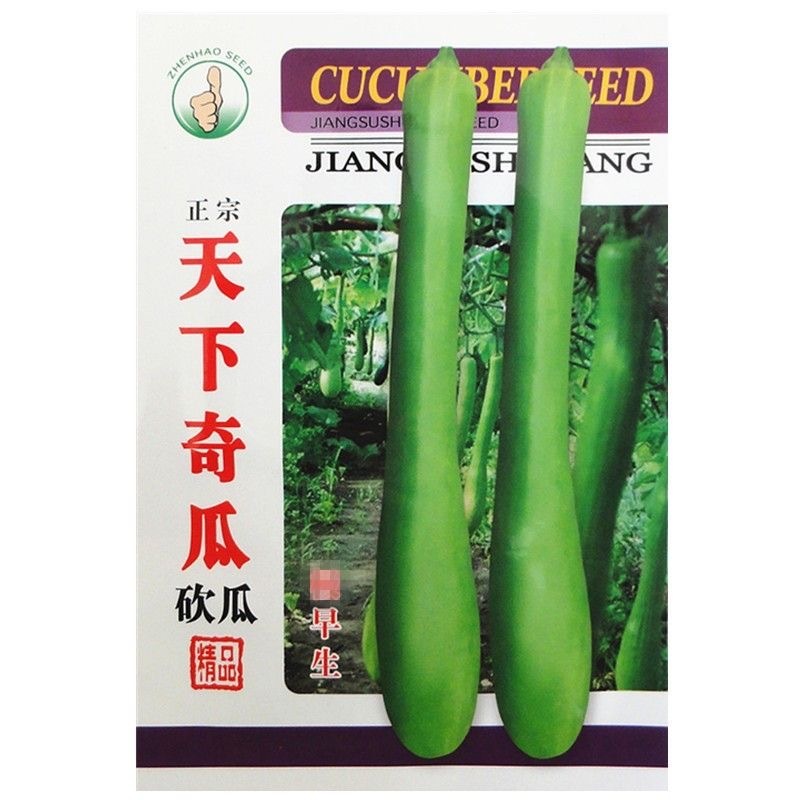 砍瓜种子早熟长圆柱形瓜色翠绿油亮吃多少砍多少
