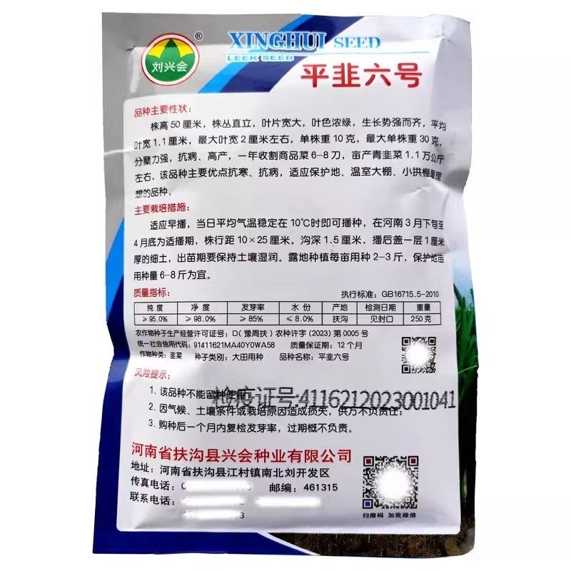 平韭六号韭菜种子抗病抗寒直立叶片宽大叶色浓绿