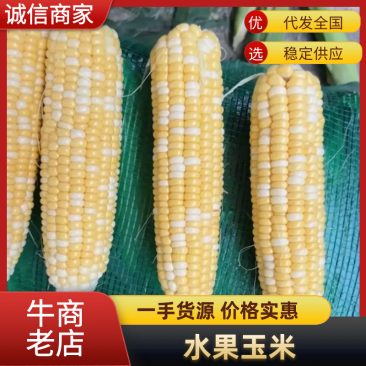 水果玉米云南玉米大量现货供应商超市场等欢迎咨询