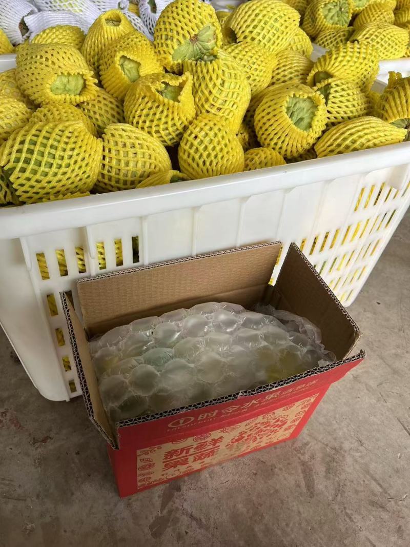 云南释迦果电商一件代发