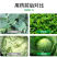 虫螨腈虱螨脲杀虫剂虫卵双杀甜菜夜蛾菜青虫肉虫菜蛾通用农药